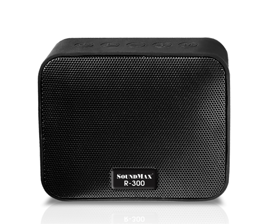 Loa SoundMax R-300
