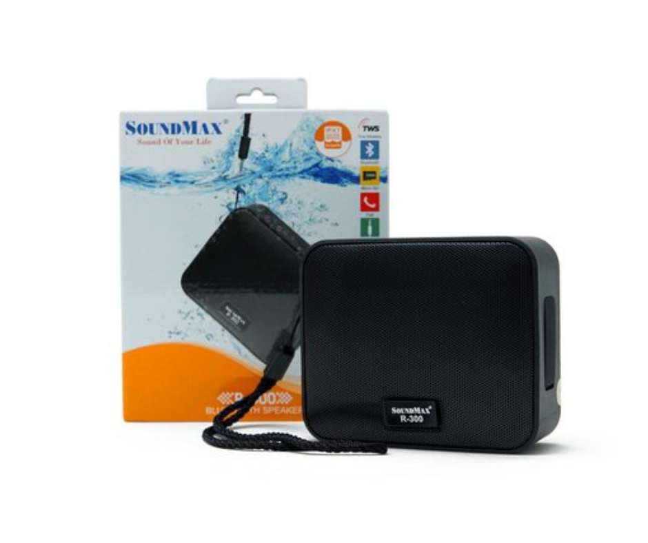 Loa SoundMax R-200