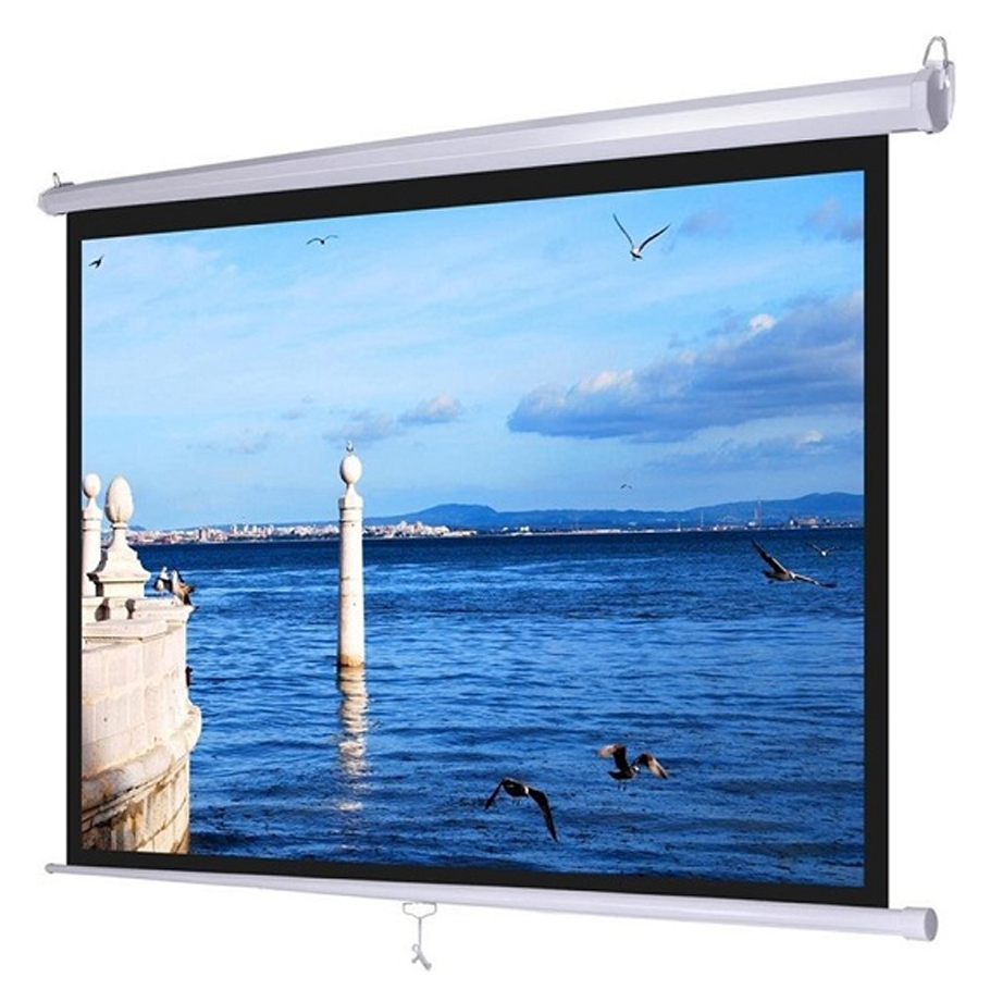 Màn chiếu treo tường WALL DALITE (70")