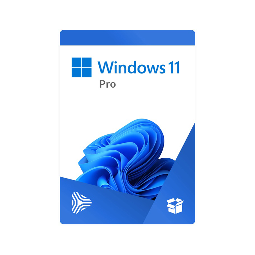 Phần mềm Win Pro 11 64Bit Eng Intl 1pk DSP OEI DVD
